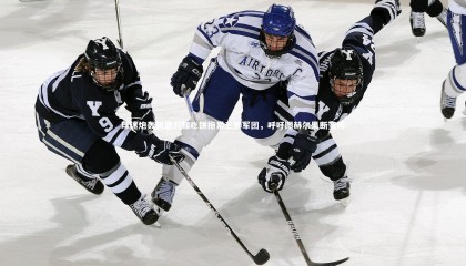 28圈足球_球迷炮轰凯恩只知吃饼拖累三狮军团，呼吁图赫尔果断变阵