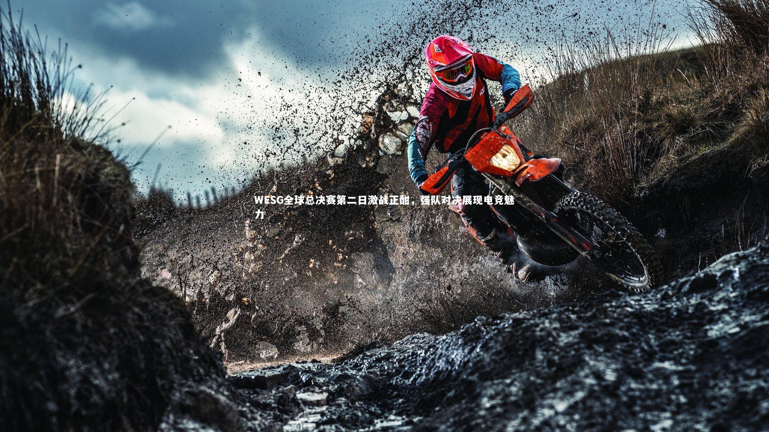 WESG全球总决赛第二日激战正酣，强队对决展现电竞魅力