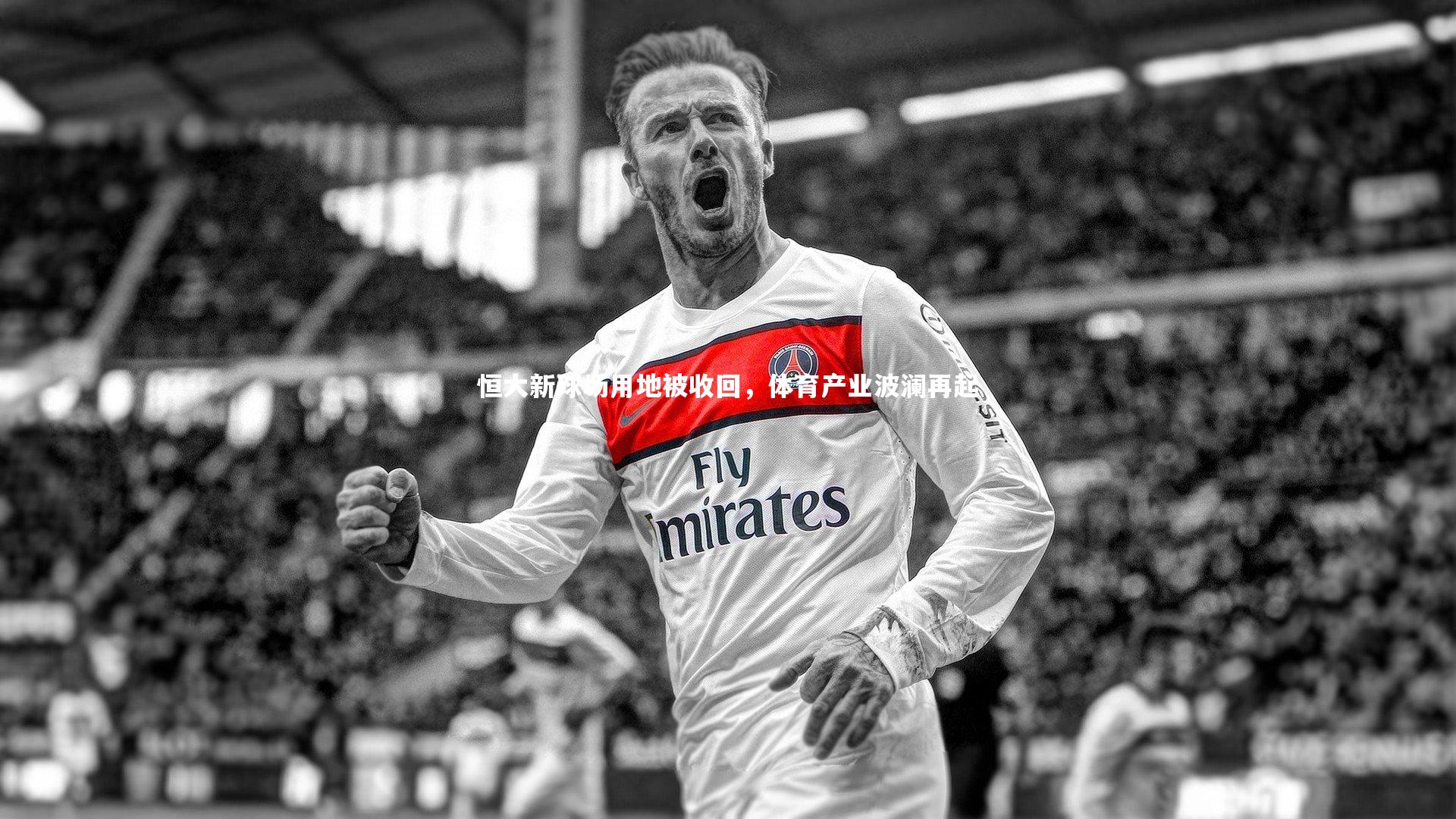 恒大新球场用地被收回，体育产业波澜再起